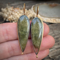 Fossilized Green Coral Earrings